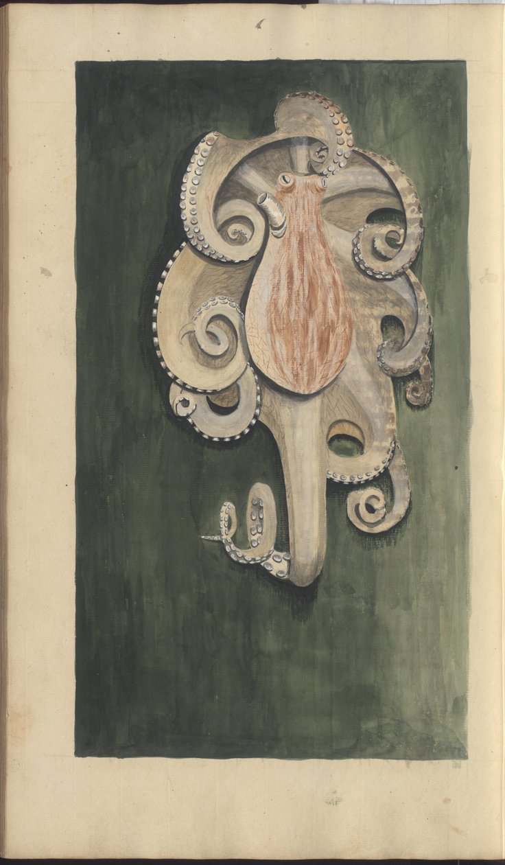Lindsay Drawings Vol. VII, 28 av John Lindsay