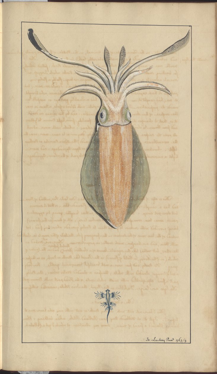 Lindsay Drawings Vol. VII, 29 av John Lindsay