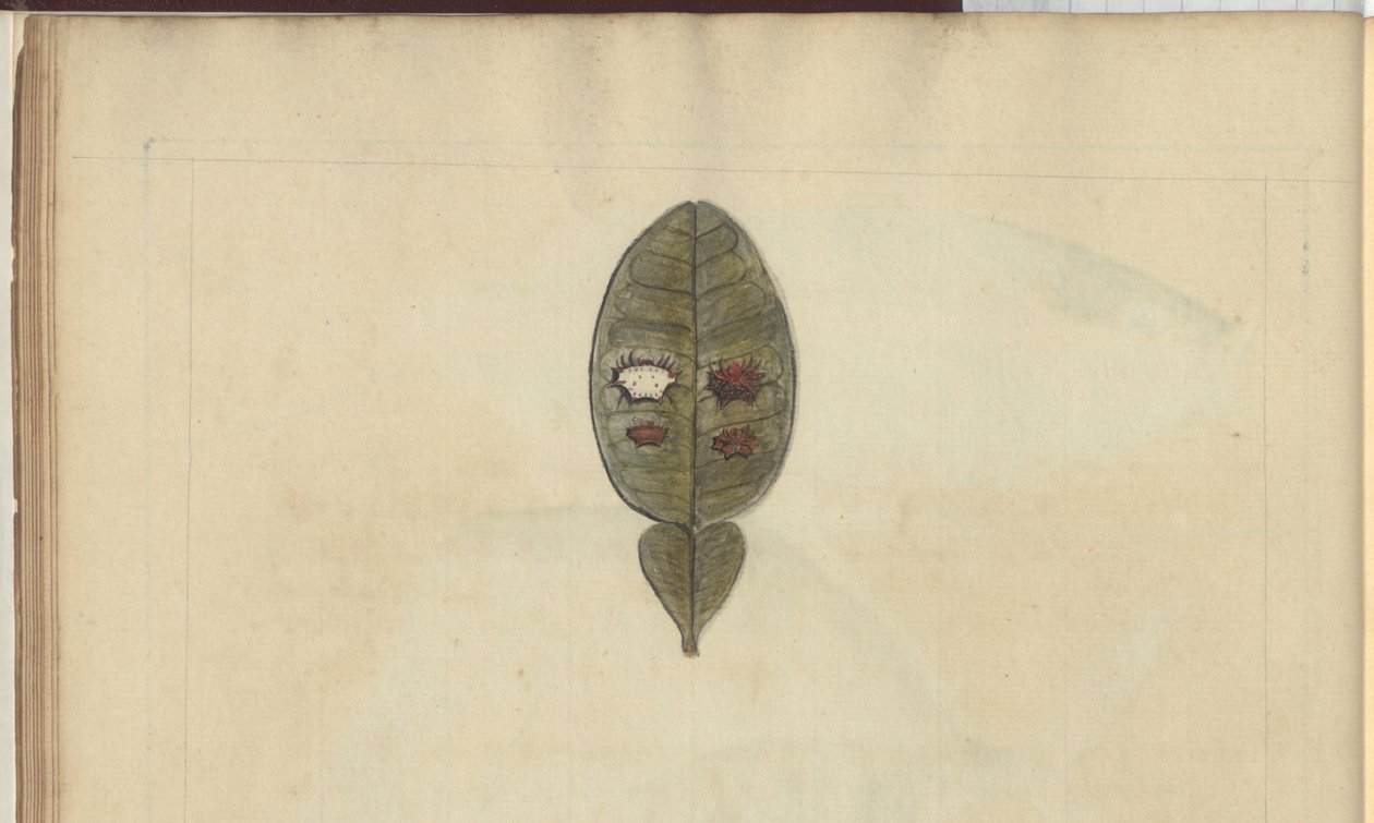 Lindsay Drawings Vol. VII, 3 av John Lindsay