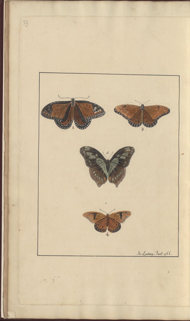 Lindsay Drawings Vol. VI, 29 av John Lindsay