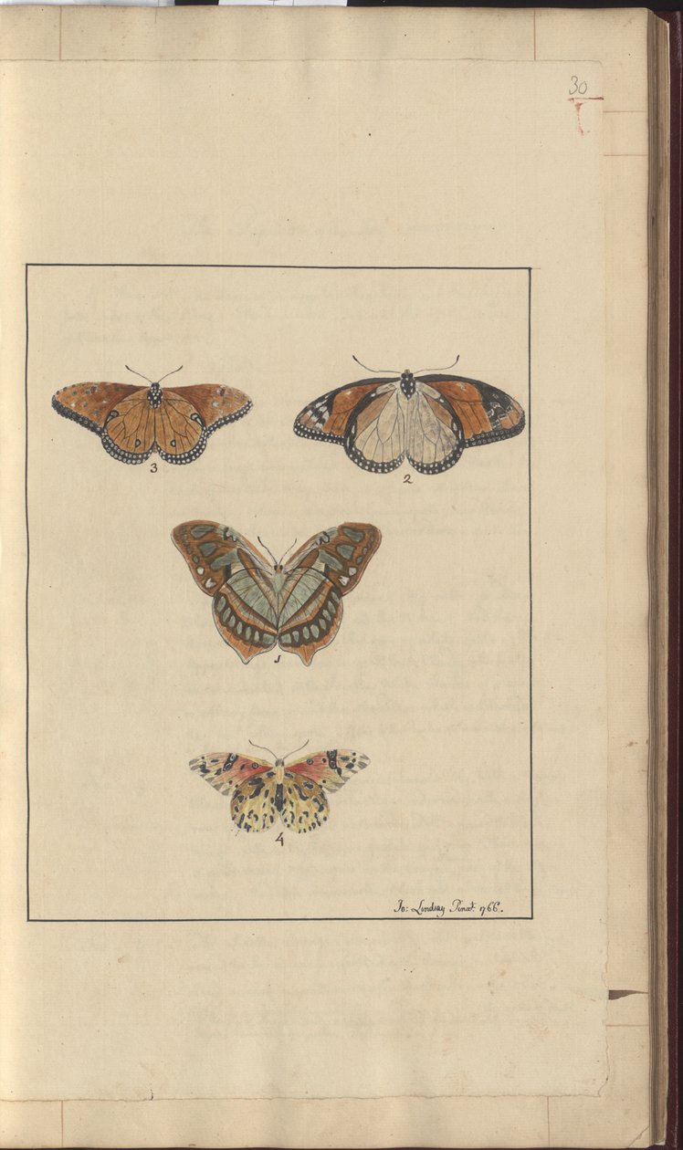 Lindsay Drawings Vol. VI, 30 av John Lindsay