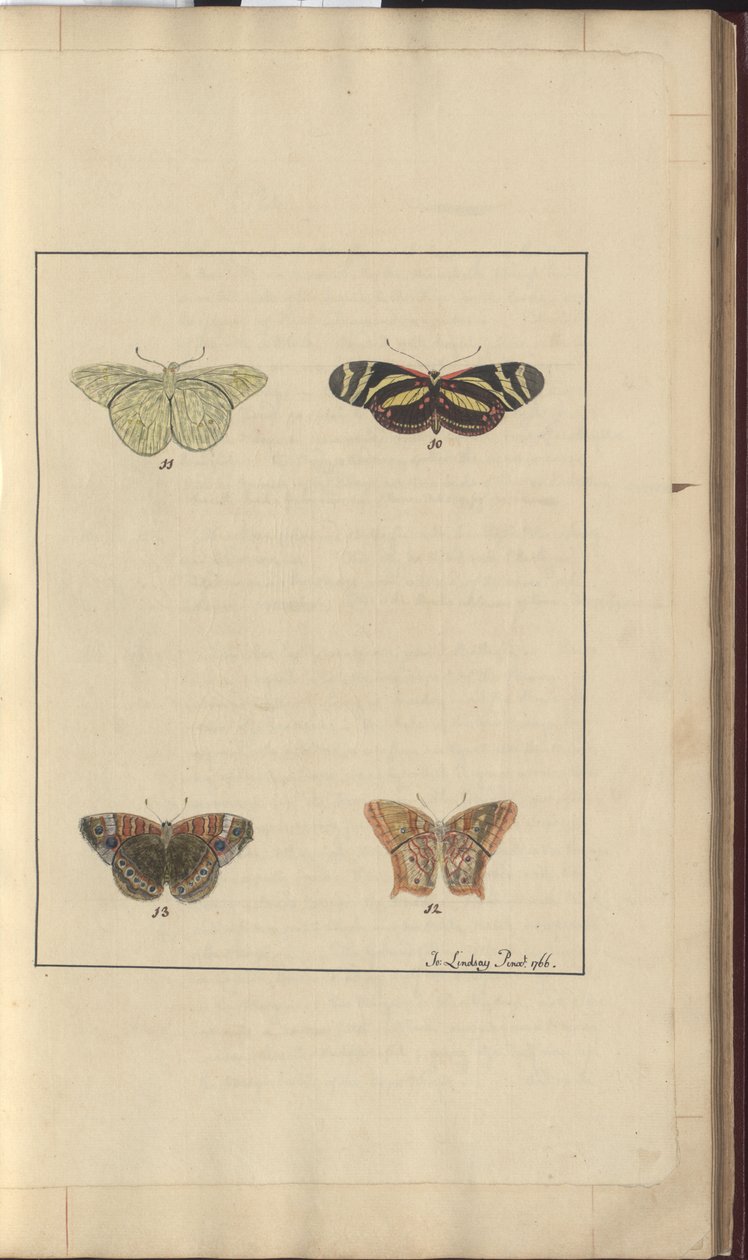 Lindsay Drawings Vol. VI, 36 av John Lindsay