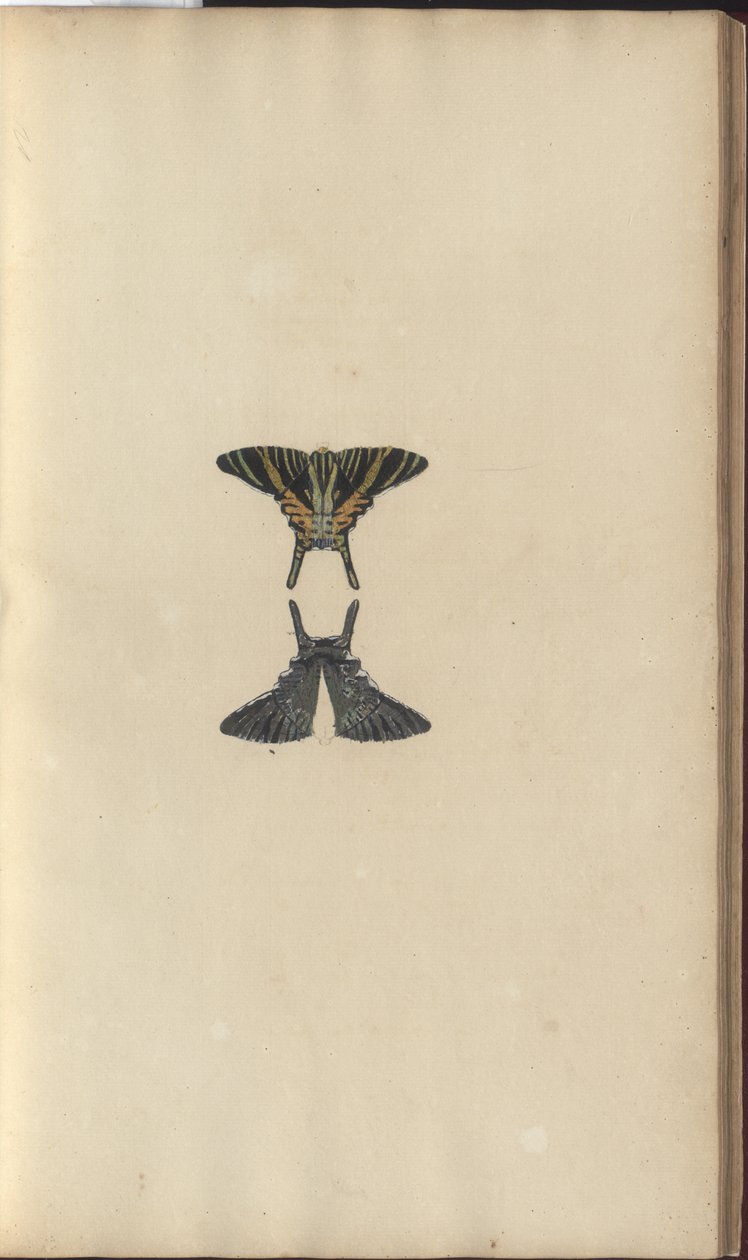 Lindsay Drawings Vol. VI, 48 av John Lindsay