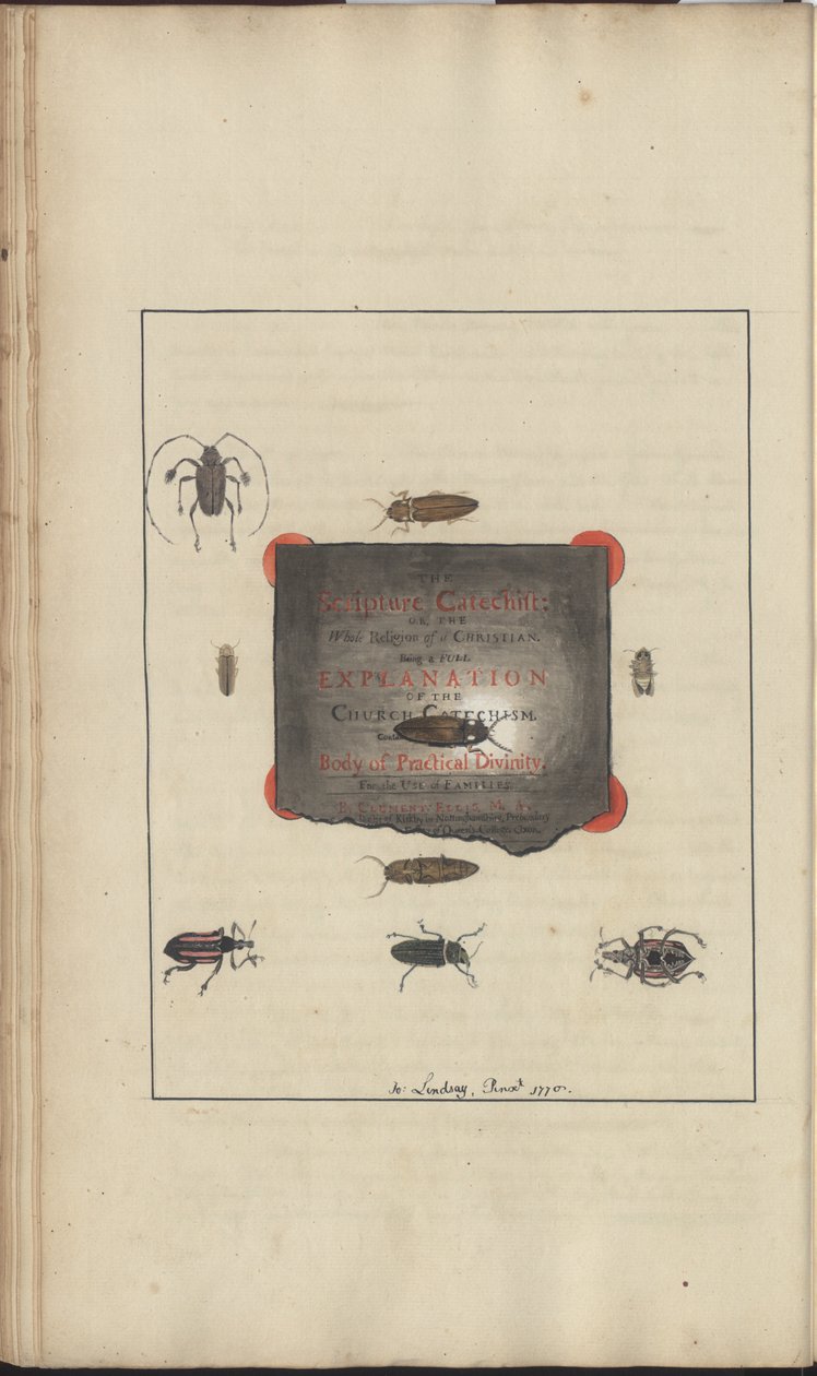 Lindsay Drawings Vol. VI, 95 av John Lindsay