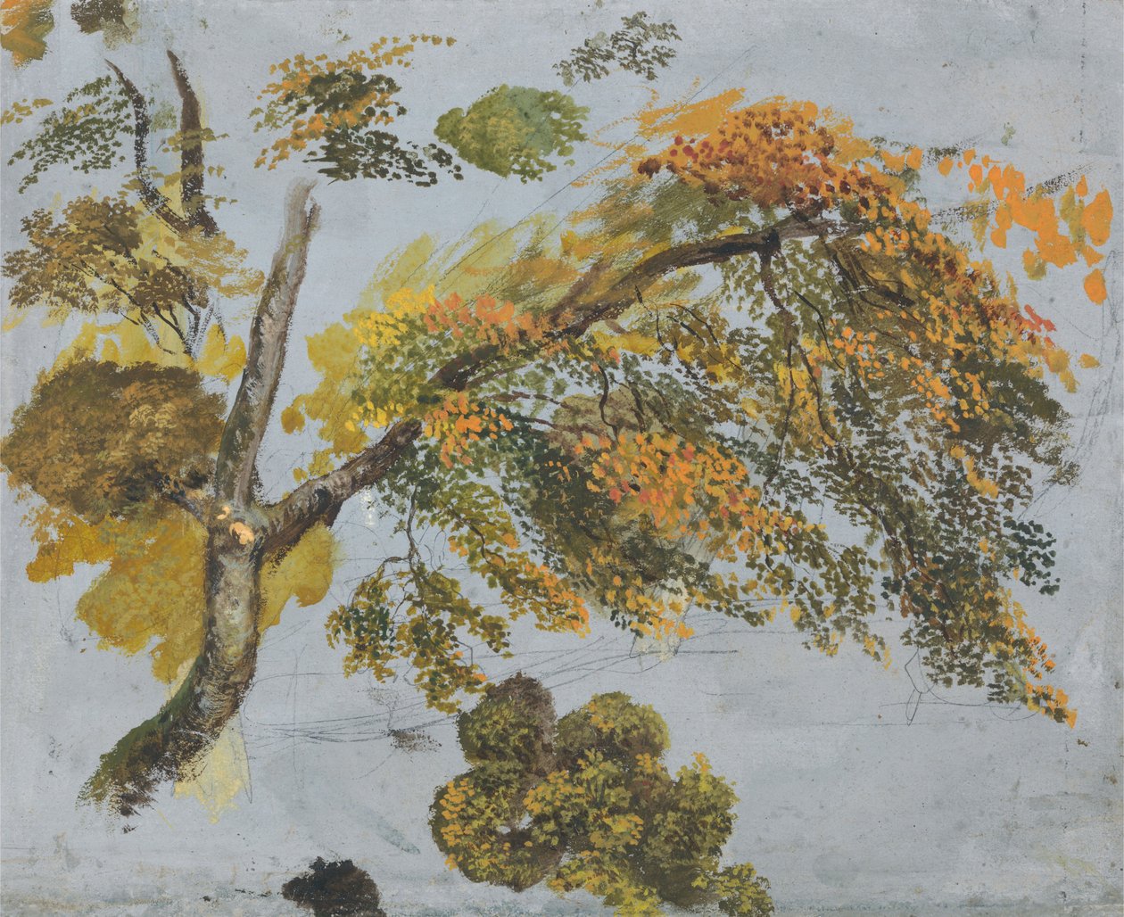 Baumstudie (Herbstlaub) av John Linnell