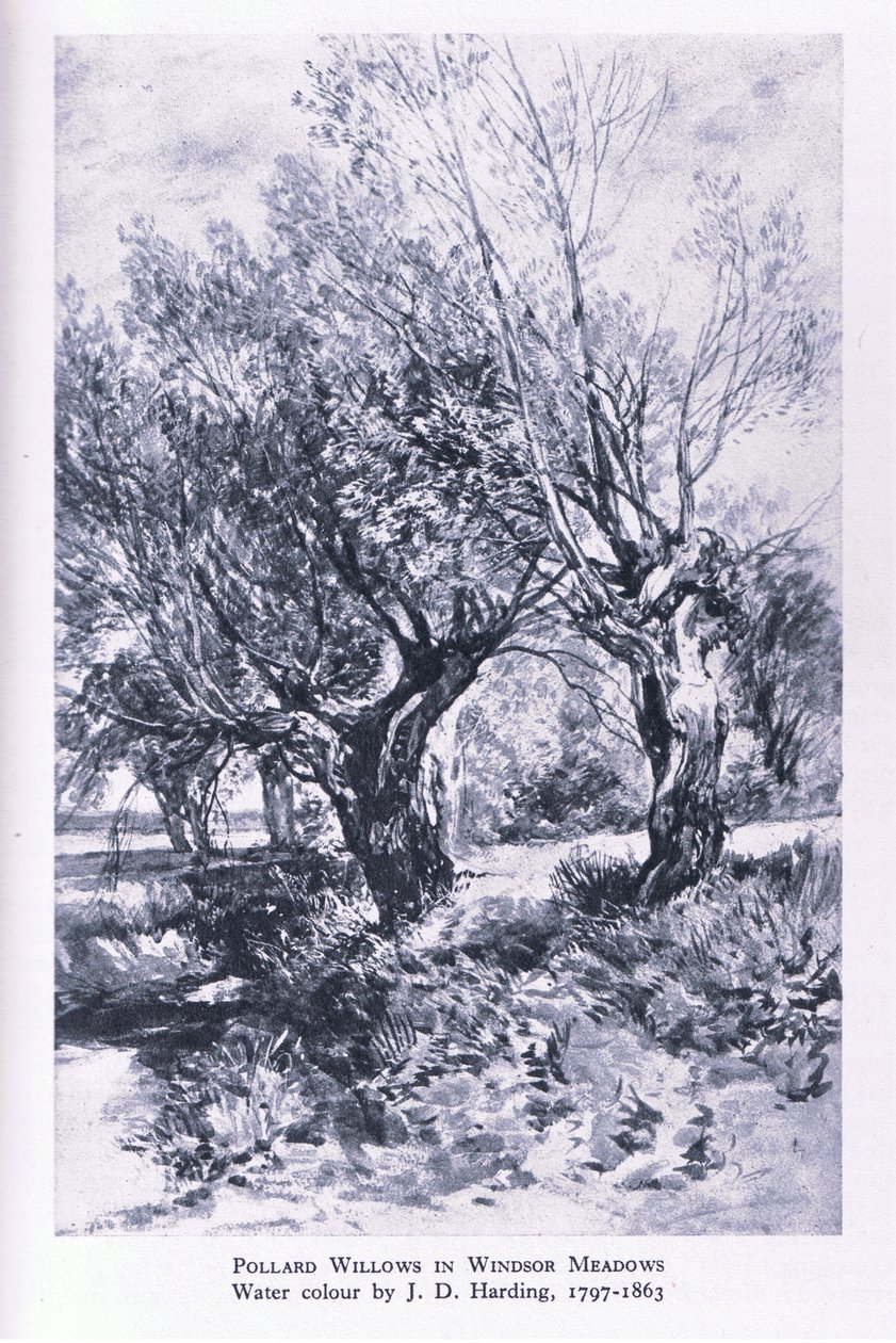 Woodcutters i utkanten av Windsor Forest, Nature in Britain utgitt av Collins av John Linnell