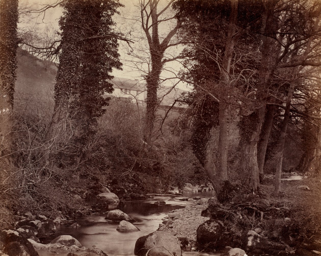 Uten tittel, c. 1859. av John Lloyd