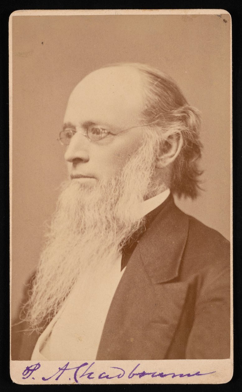 Portrett av Paul Ansel Chadbourne 1823-1883, mellom 1872 og 1875. av John Lyman Lovell