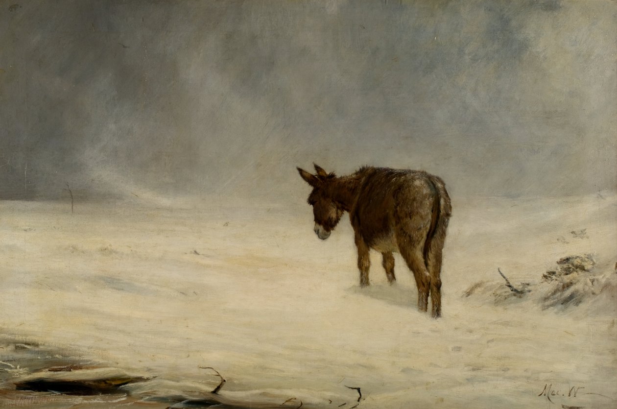 Et esel i snø av John MacWhirter