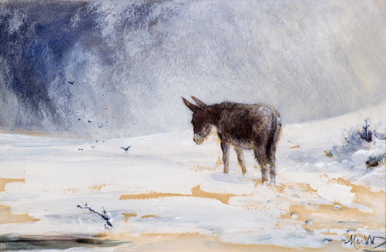 Esel i snø av John MacWhirter