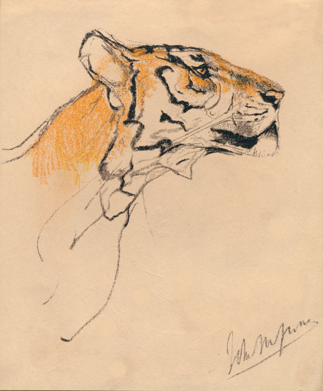 Leder for en tiger, c1910 av John Macallan Swan
