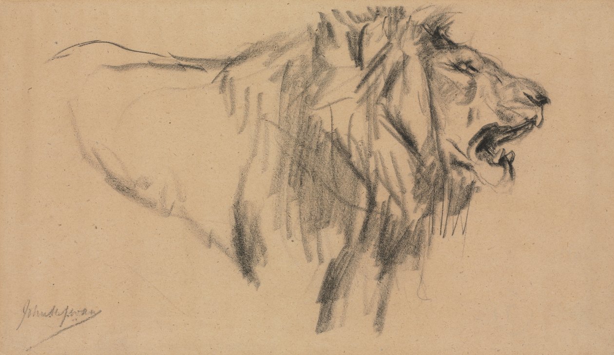 Løve. av John Macallan Swan