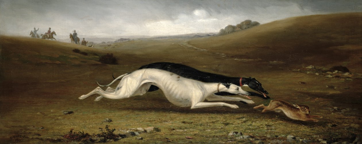 Hare på kurs i et landskap, 1870 av John Marshall