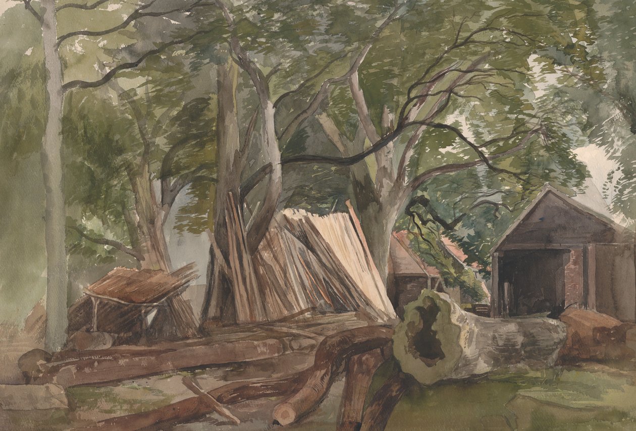 Rydding med trelastfabrikk, 1847. av John Middleton