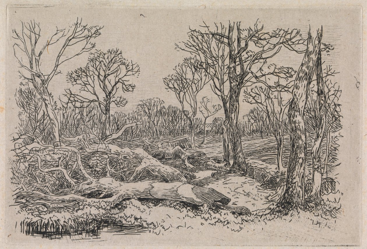 Feltet tømmer, Burningham av John Middleton