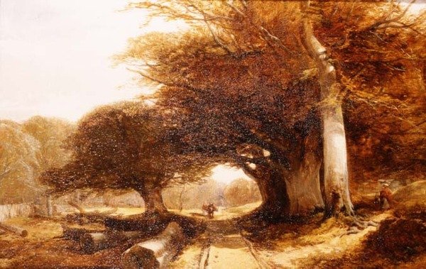 Skoglandskap av John Middleton
