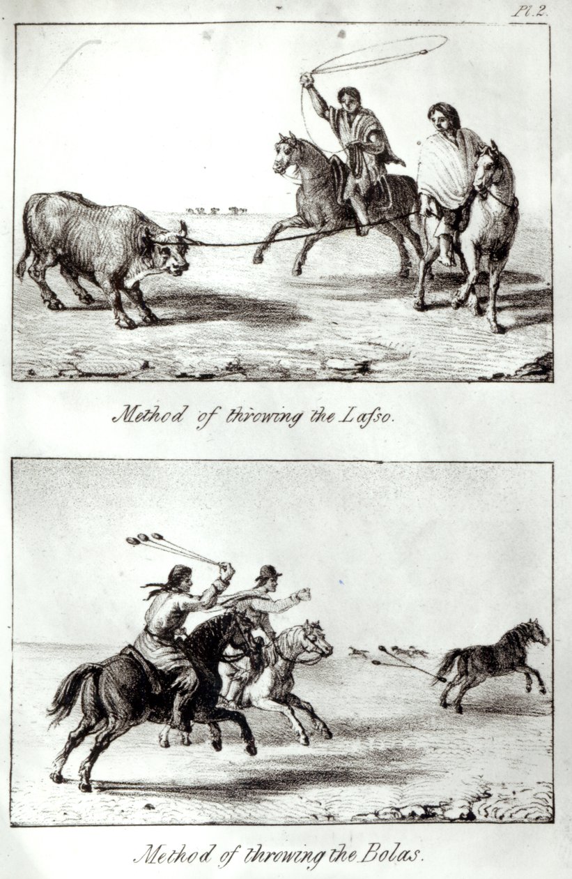 Metoder for å kaste Lasso og Bolas, fra "Reiser i Chile og La Plata" av John Miers, 1826 (litho) (bw foto) av John Miers