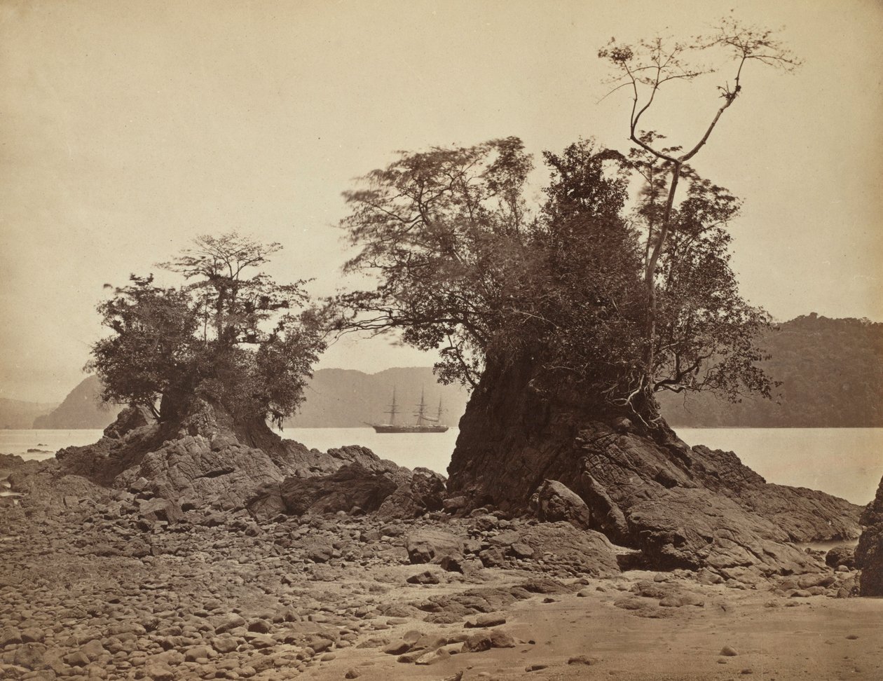 Øyene i Lemon Bay, 1871. av John Moran