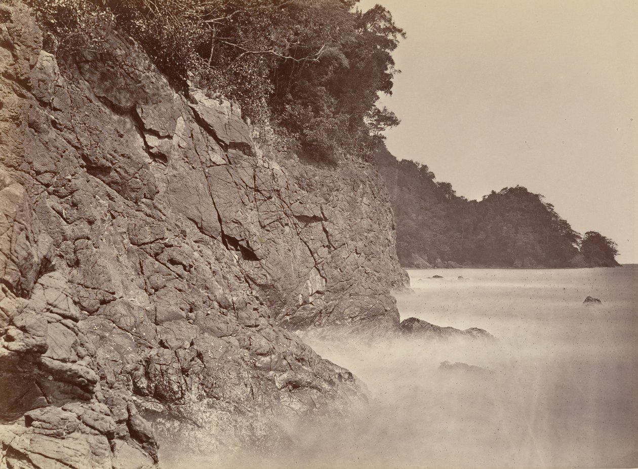 Tropisk natur, Cliff - Limon Bay, 1871. av John Moran