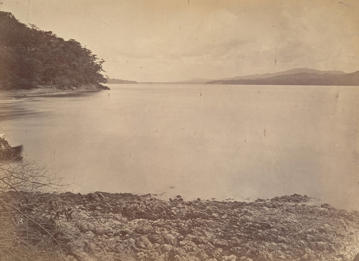 Tropical Scenery, Darien Harbour - Looking South, 1871. av John Moran