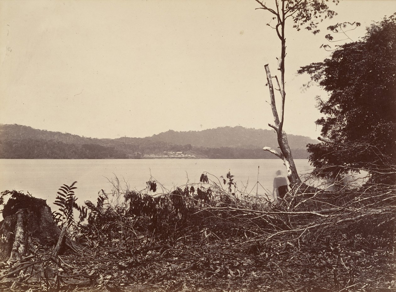 Tropisk landskap, Darien havn, Chipigana, 1871. av John Moran