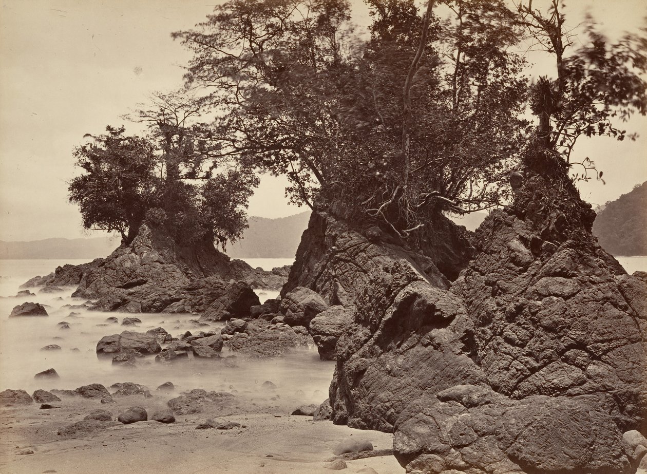 Tropisk landskap, Limon Bay - lavvann, 1871. av John Moran