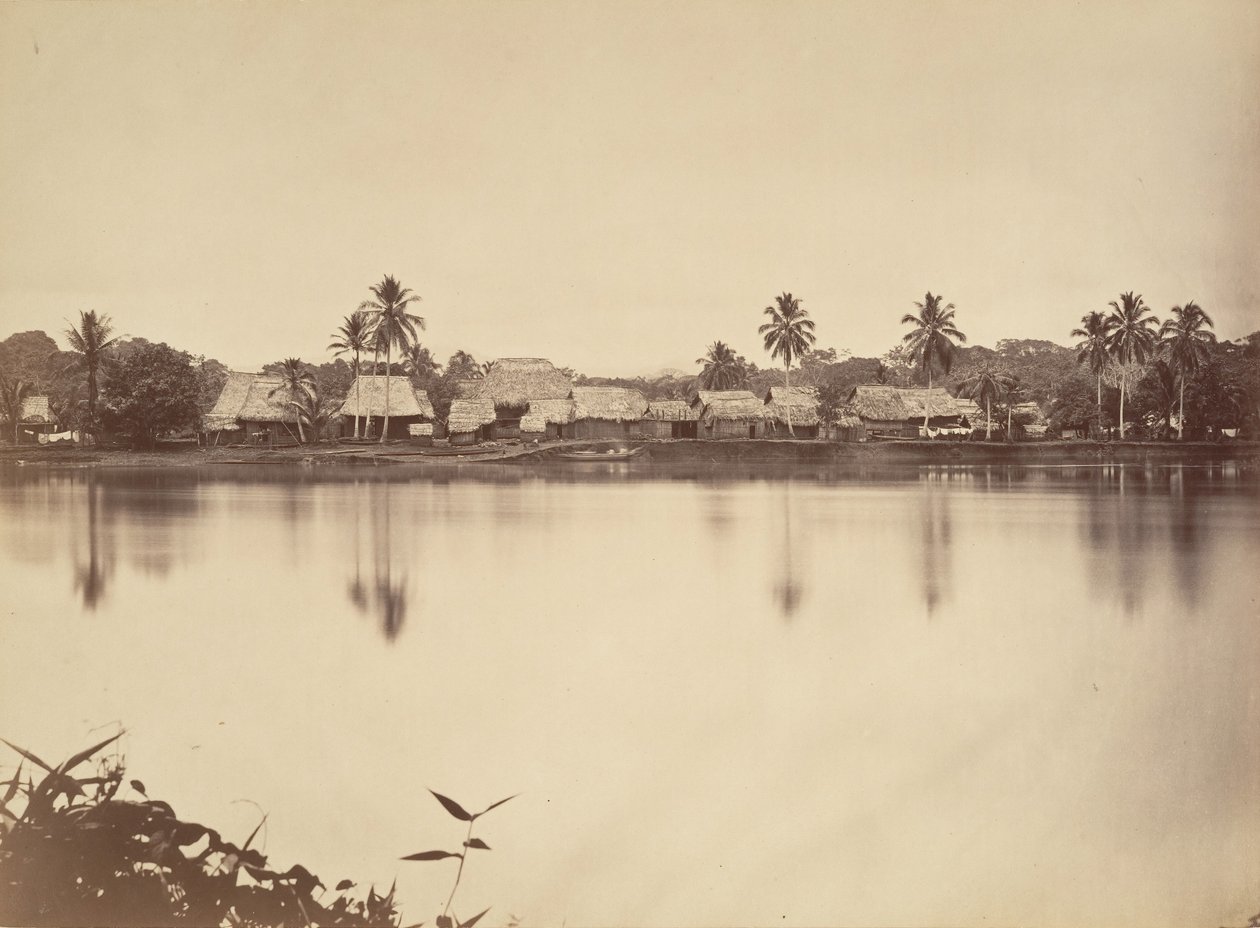 Tropisk landskap, Santa Maria del Real, Darien, 1871. av John Moran