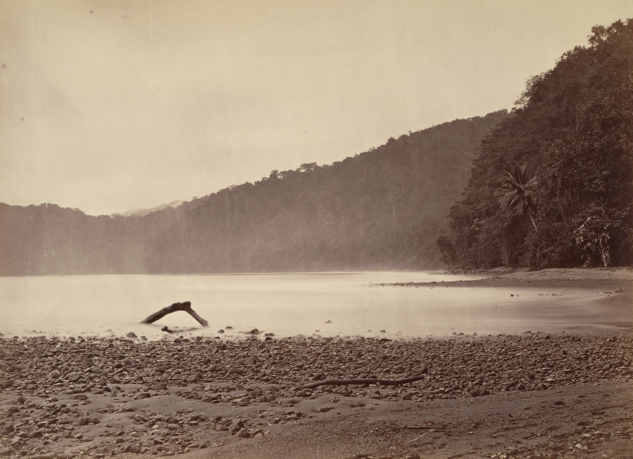 Tropisk natur, endestasjonen til den foreslåtte kanalen, Limon Bay, 1871. av John Moran