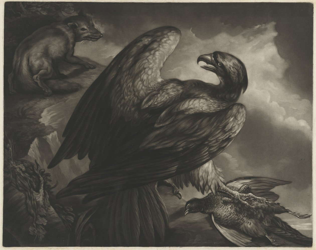 Ørn og rev av John Murphy after James Northcote
