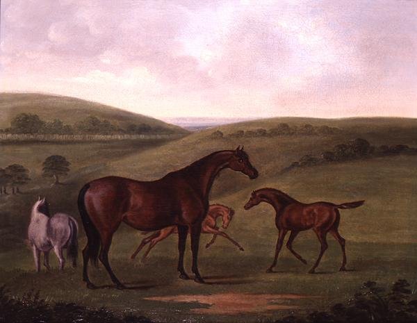 Hoppe med føll i et landskap (olje på lerret) av John Nott Sartorius