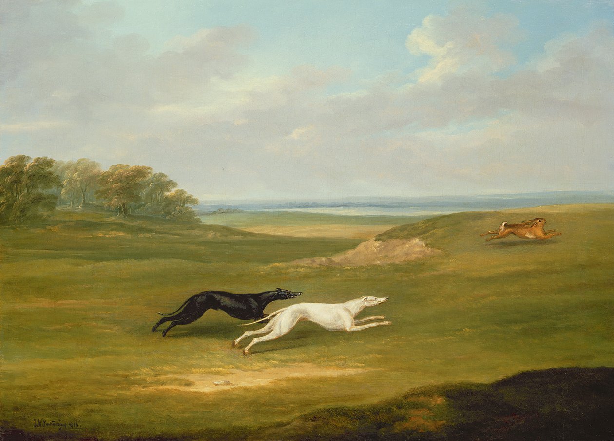 Løping, en Coursing-scene av John Nott Sartorius