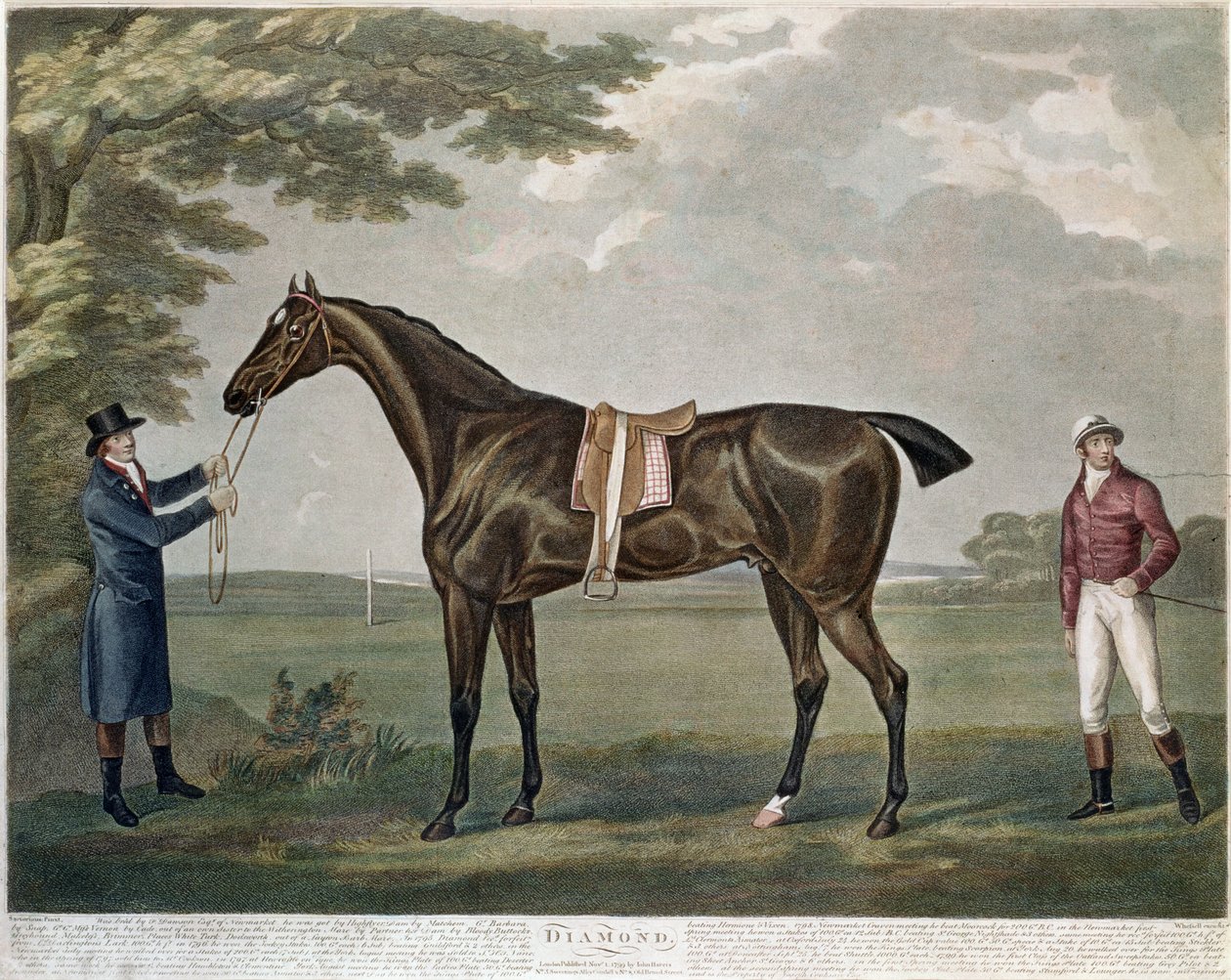 Racehorse-diamanten, ca. 1799 av John Nott Sartorius