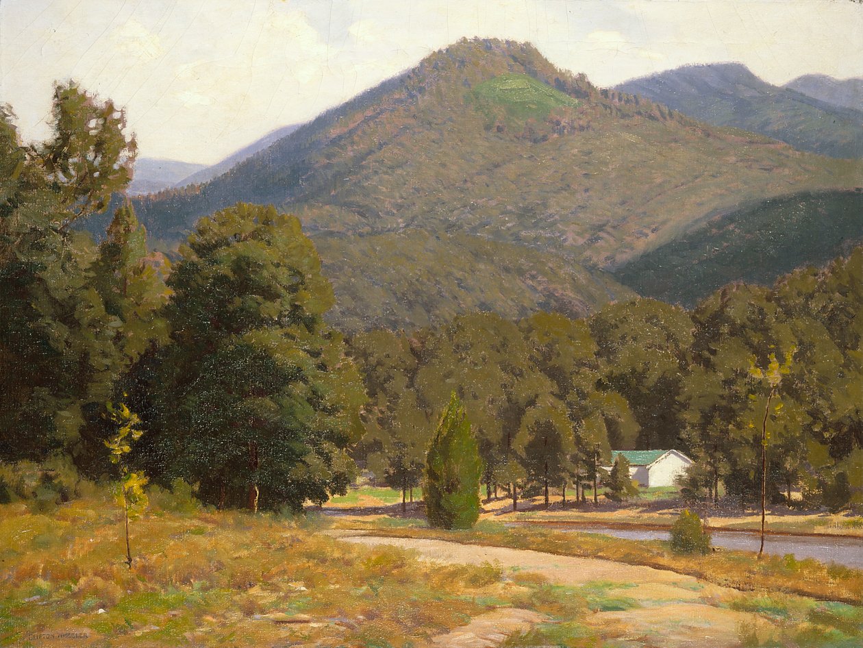 Figurstudie (gammel mann) (olje på lerret) av John Otis Adams