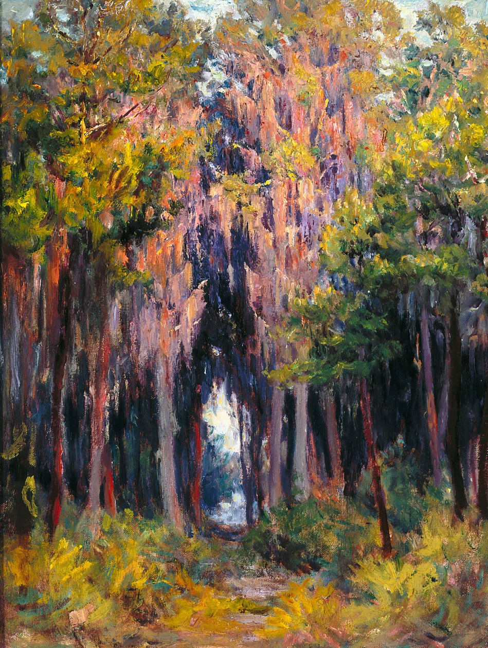 Hanging Moss, St. Petersburg (olje på lerret) av John Otis Adams