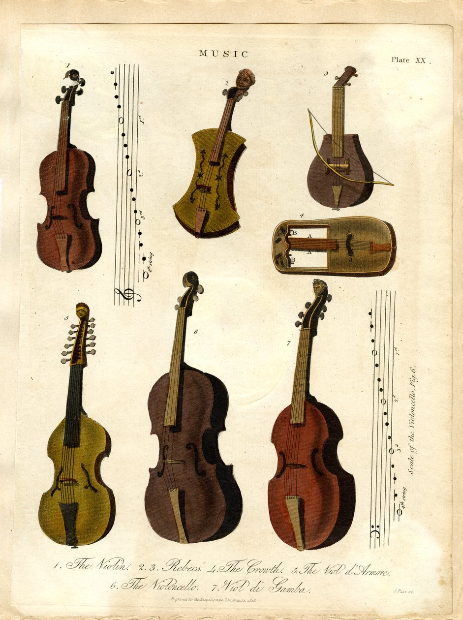 Strengeinstrumenter i klassisk musikk av John Pass