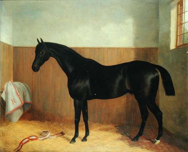 Tommy, Portrait of a Horse, ca. 1870-tallet (olje på lerret) av John Paul