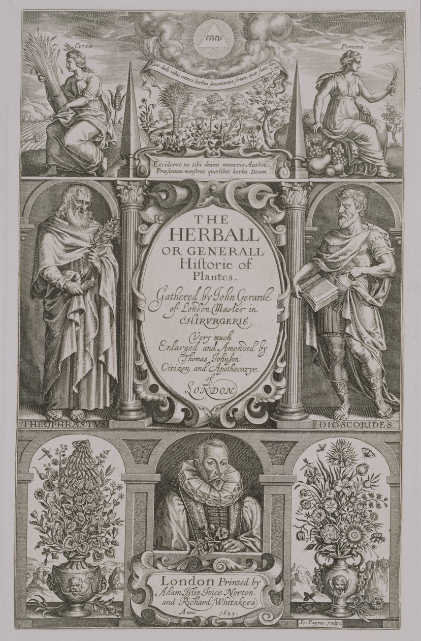Tittelside til den andre utgaven av The Herball av John Gerard (1564-1612) 1633 av John Payne