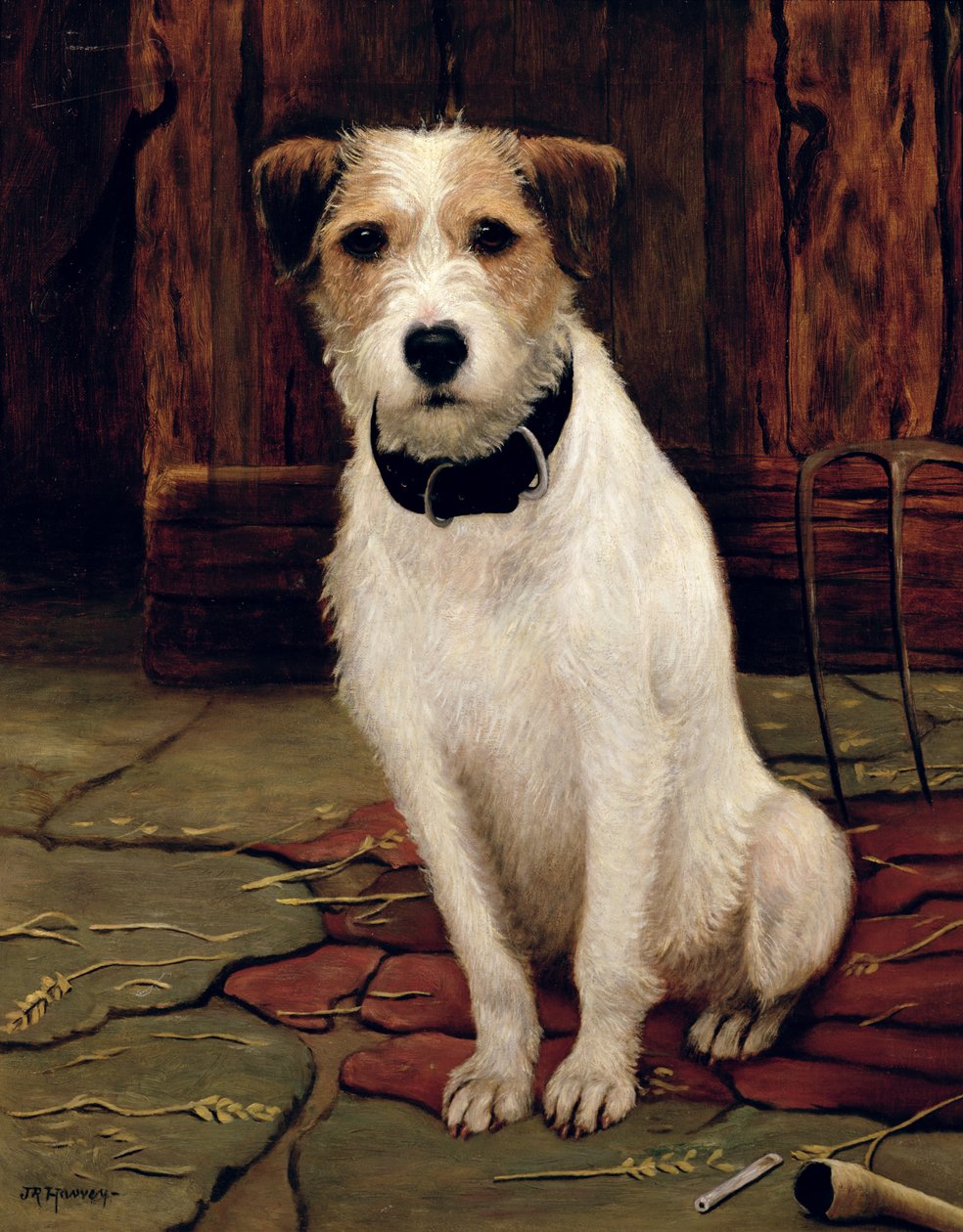 Portrett av terrier av John Rabone Harvey