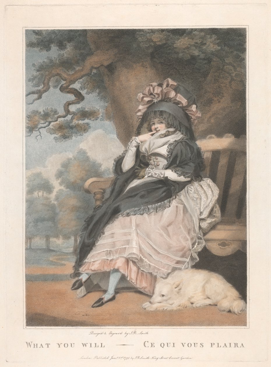 Hva du vil - hva du vil like av John Raphael Smith