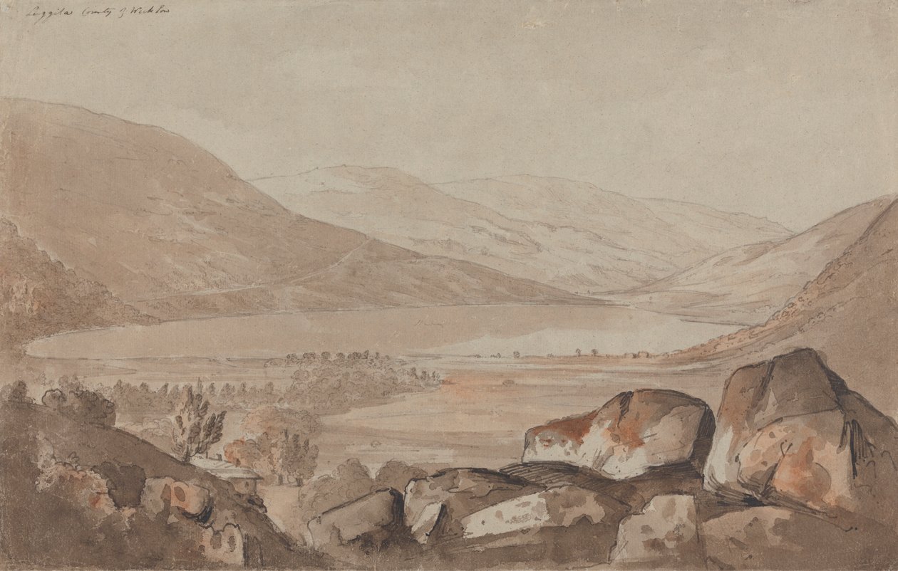 Luggila, fylket Wicklow av John Renton