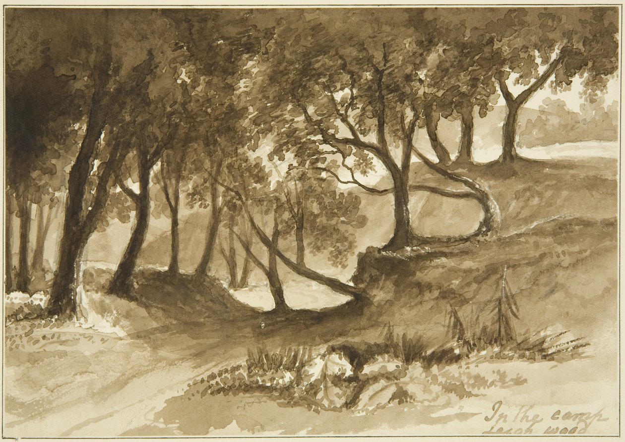 Utsikt i Burwalls Camp, Leigh Woods av John Reverend Eden