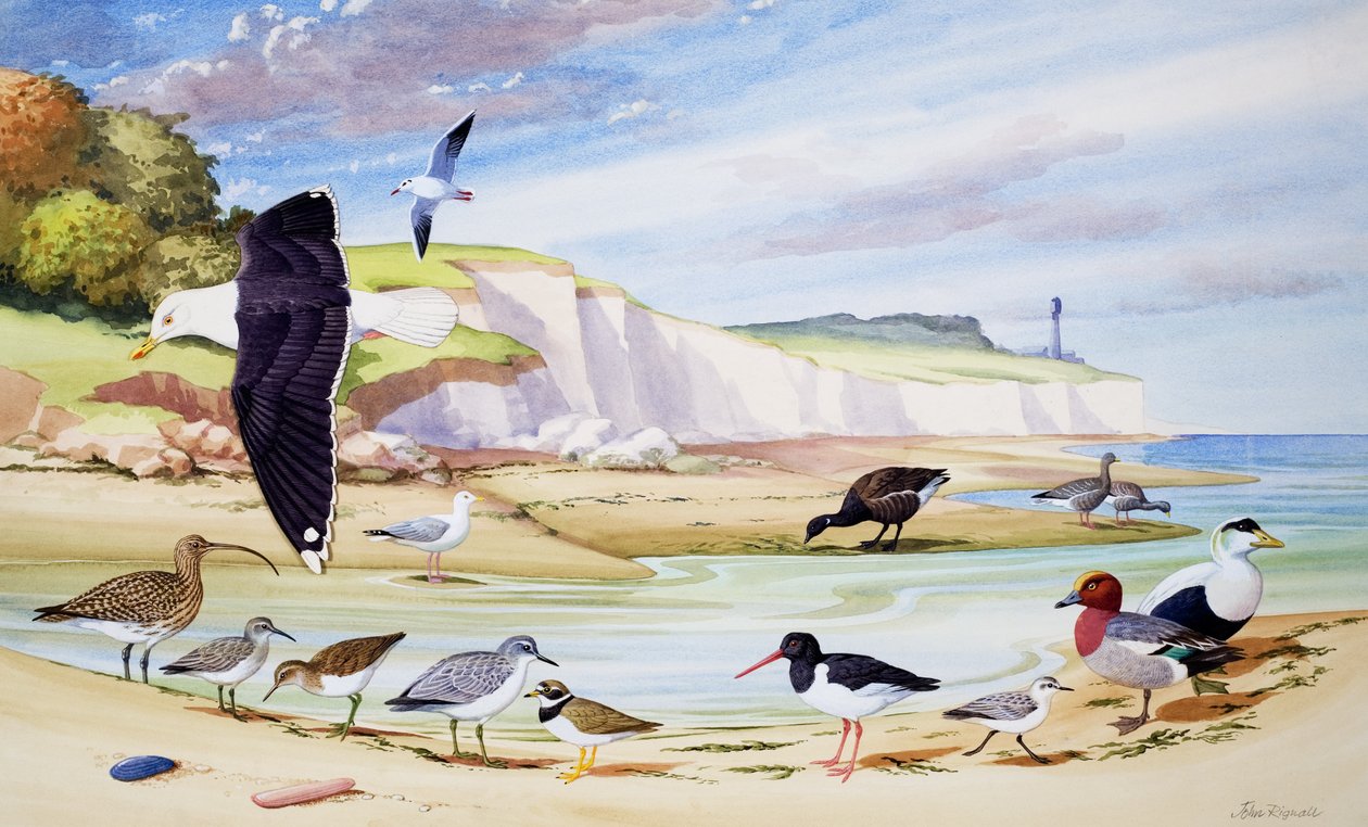  av John Rignall
