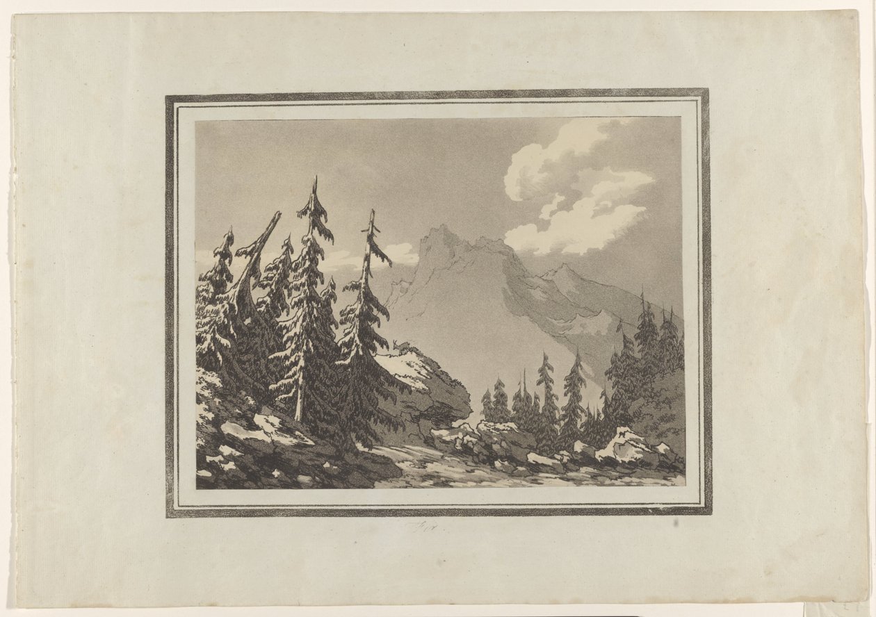 Gran av John Robert Cozens