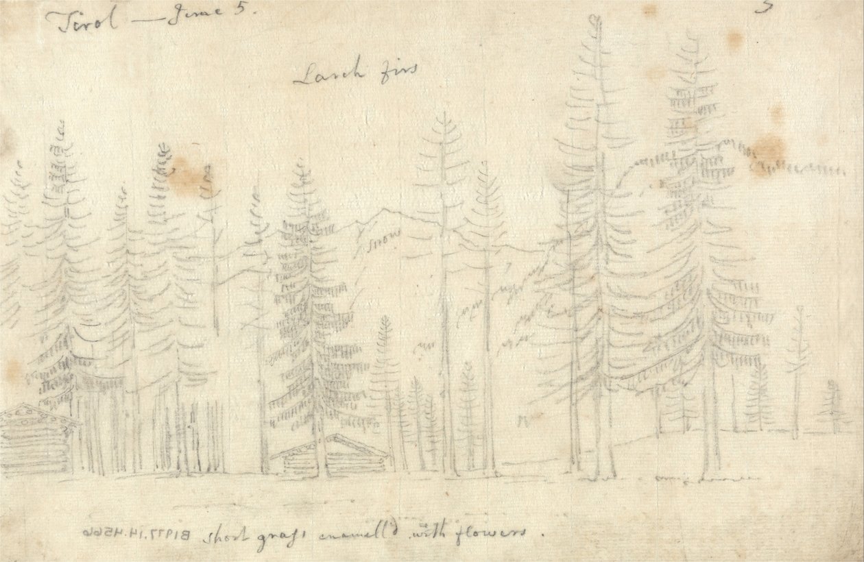  av John Robert Cozens