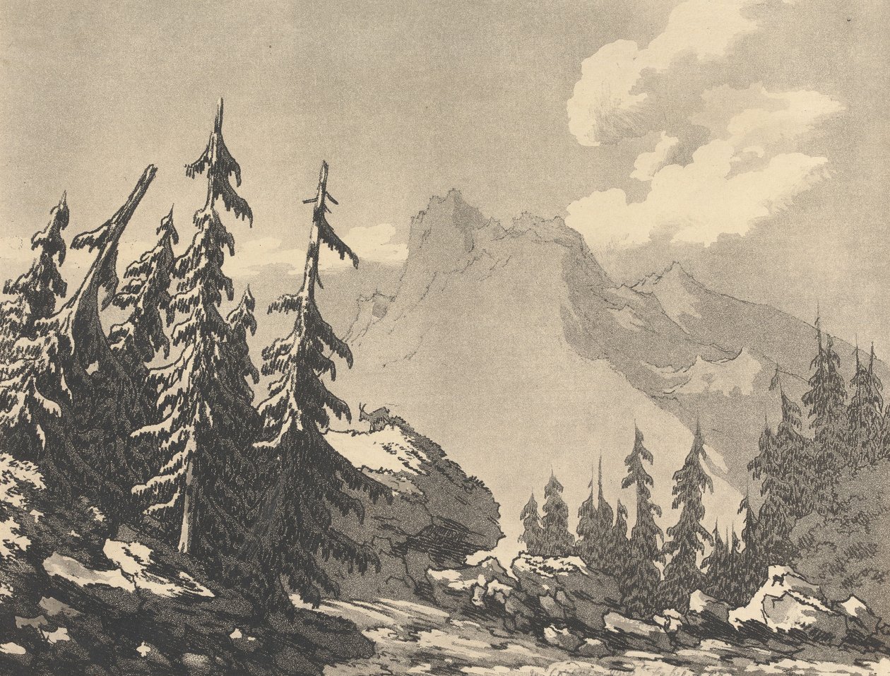 Gran og edelgran av John Robert Cozens