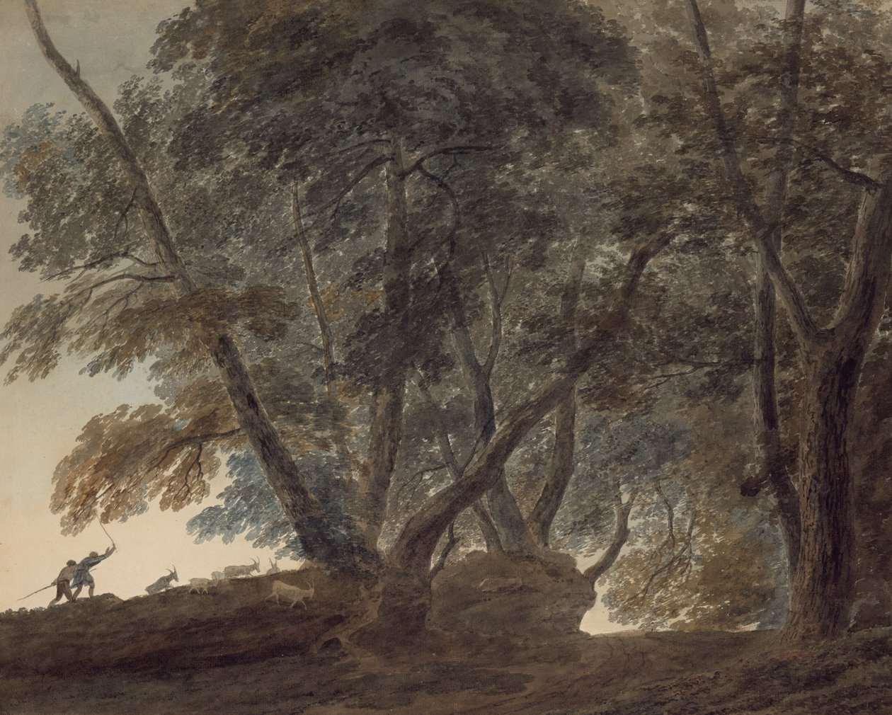  av John Robert Cozens