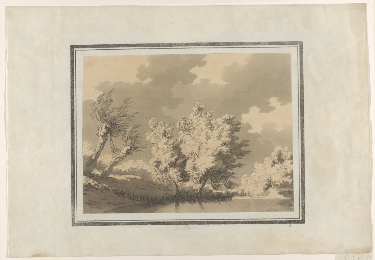 Willow av John Robert Cozens