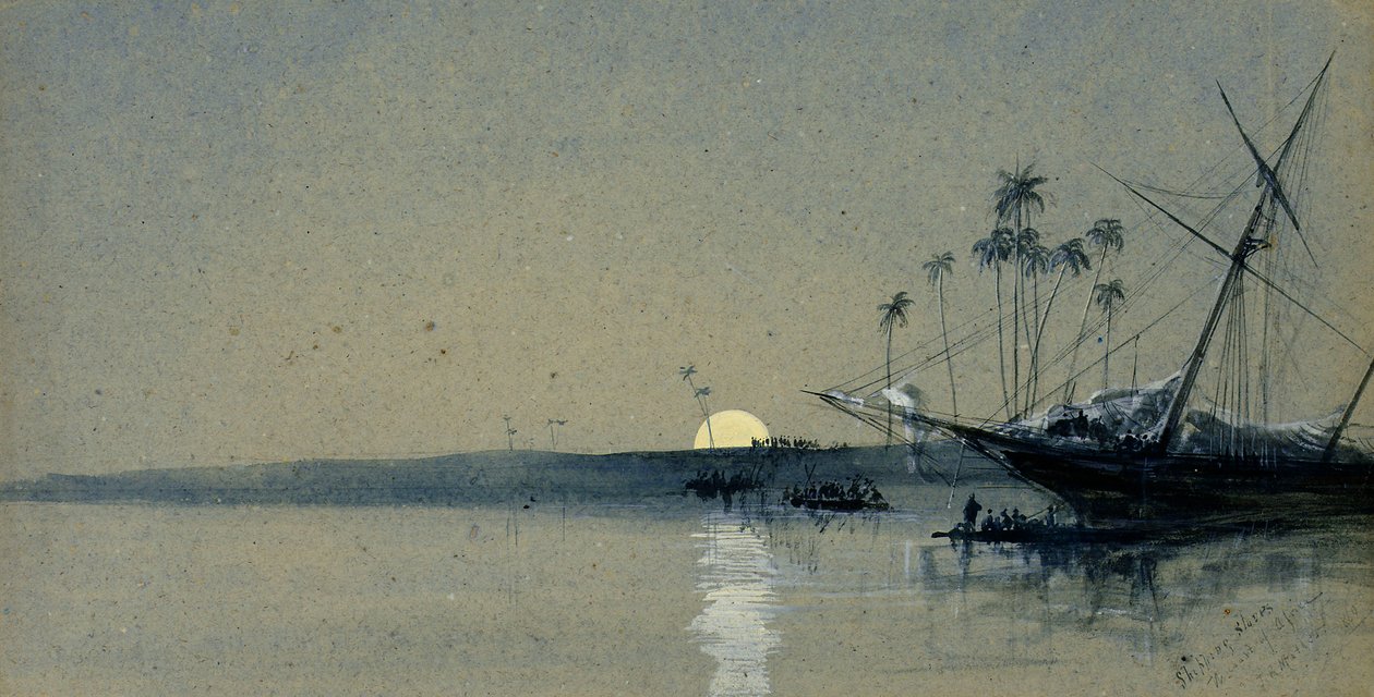  av John Robert Mather