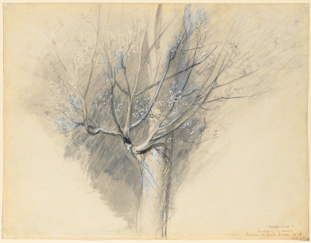  av John Ruskin