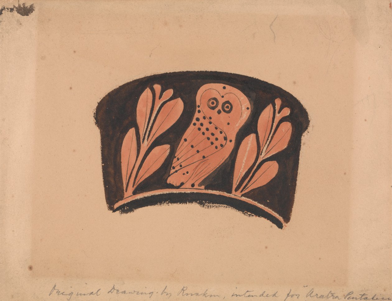 Ugle, etter en Attic Kantharos av John Ruskin